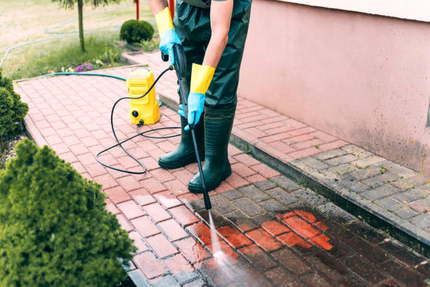 Animal Enclosure Cleaning in Montevideo, MN