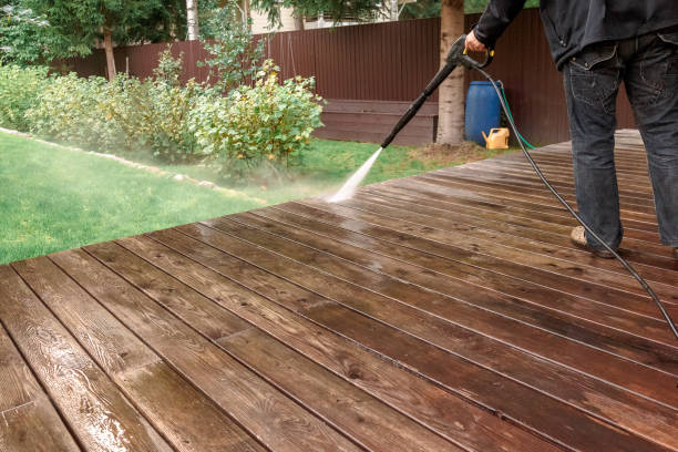 Best Soft Washing  in Montevideo, MN