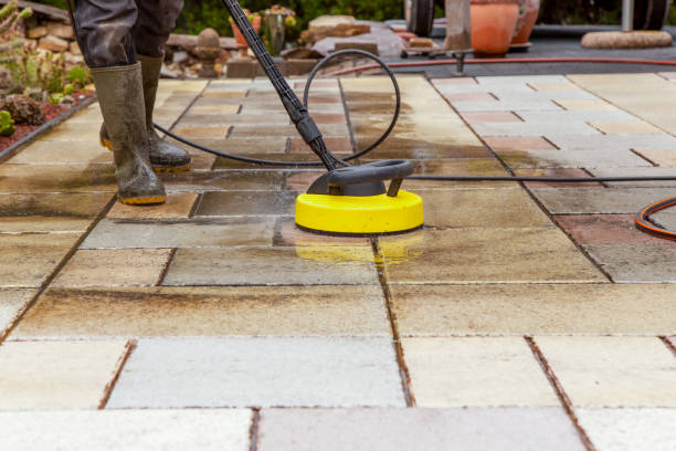 Best Pre-Holiday Cleaning  in Montevideo, MN